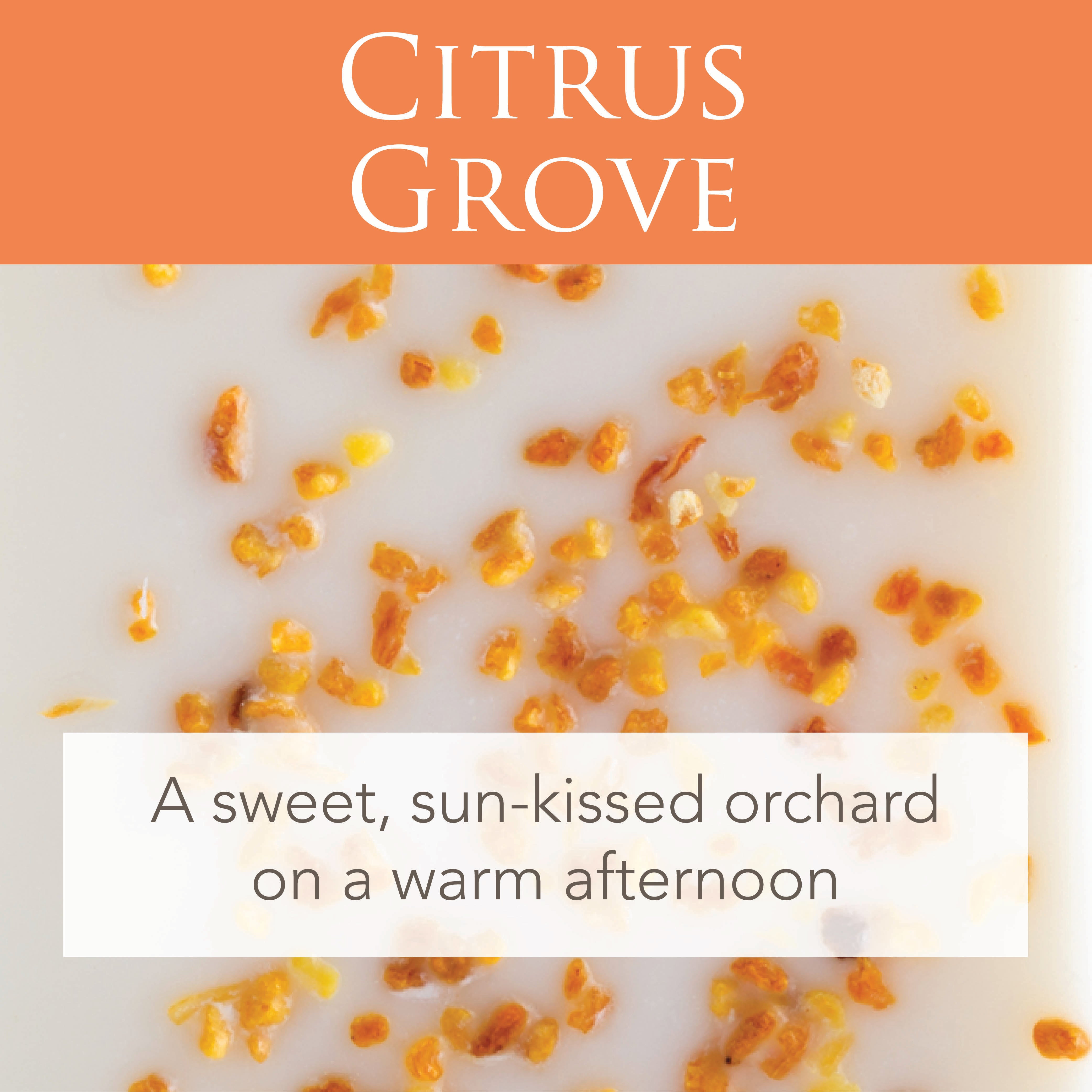 Citrus Grove 2.5 Oz Artisan Melts - Image 5