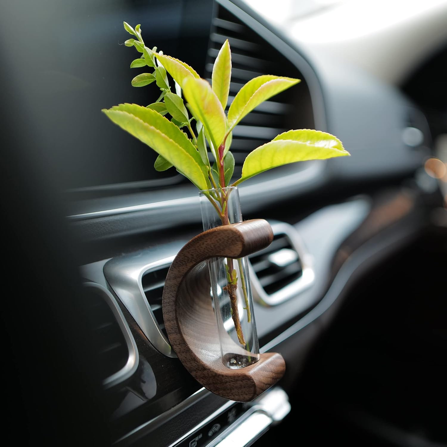 Car Dashboard Decorations - Propagation Vase Vent Clip for Fresh/Dried Flowers, Plant Cuttings, Car Interior Aesthetics Decor Accessories - Gift for Plant Lovers, Women & Moms - Image 1