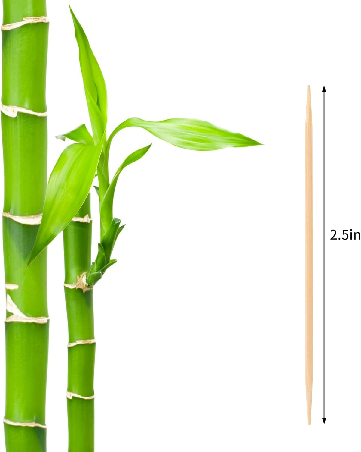 2PS Toothpick Holder with 1000 Count Bamboo Toothpicks for Teeth Cleaning Fruits- Round Double-Pointed Wooden Toothpicks, for Appetizers,Olives - Image 2