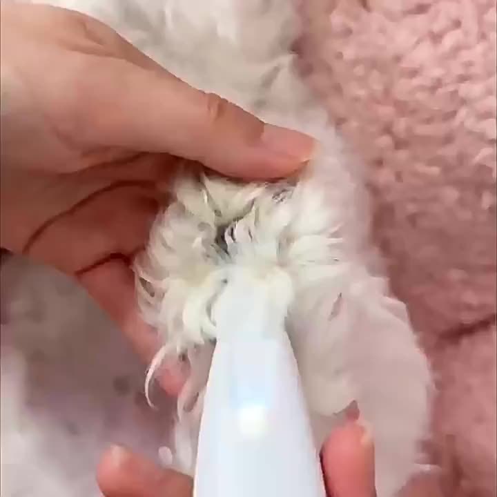 Low-Noise Pet Clipper for Dogs & Cats: Quiet Operation Reduces Stress, Rounded Blade Prevents Skin Irritation, 90-Min Runtime + Spare Blade Included - Image 2