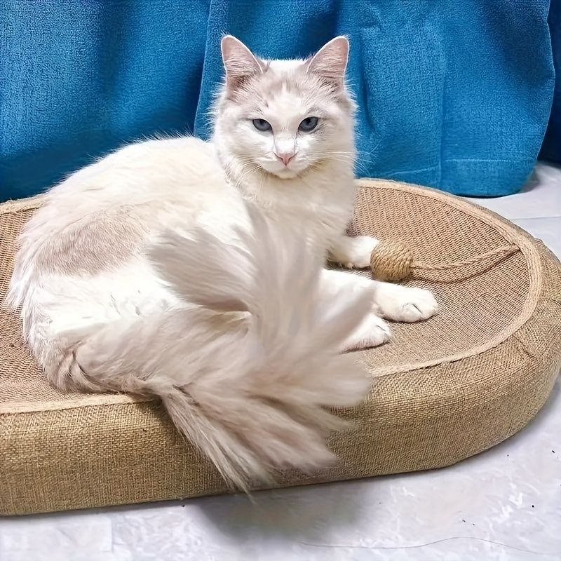 Durable cat scratching board, built-in cat litter box, suitable for all seasons, cat claw care toy, suitable for exercise and rest, perfect gift for cats, perfect gift for cats - Image 3