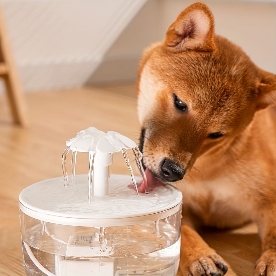 Large capacity cat water fountain, USB low voltage powered automatic pet water feeder, suitable for a variety of pets, safer - Image 5