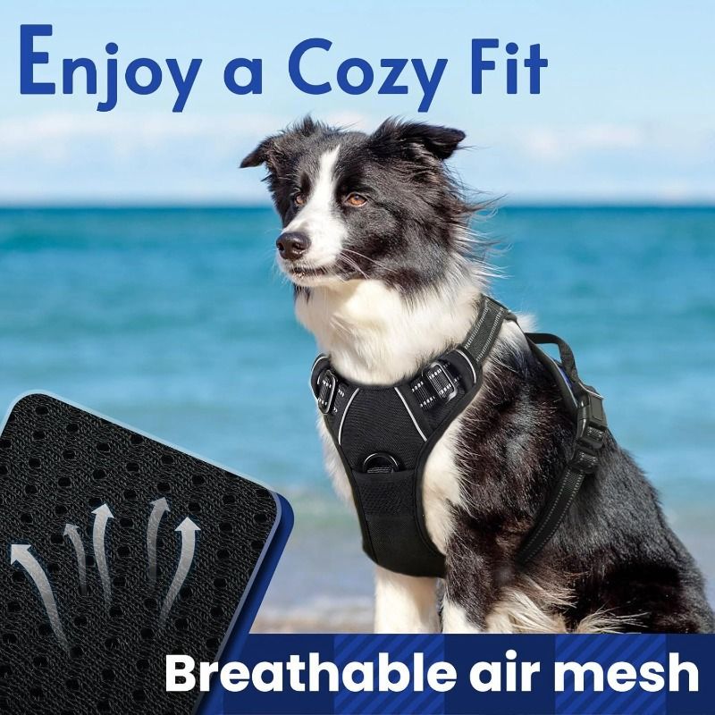 Anti-escape dog harness & leash, soft and comfortable breathable dog vest, reflective in the night, suitable for walking medium and large dogs. - Image 2