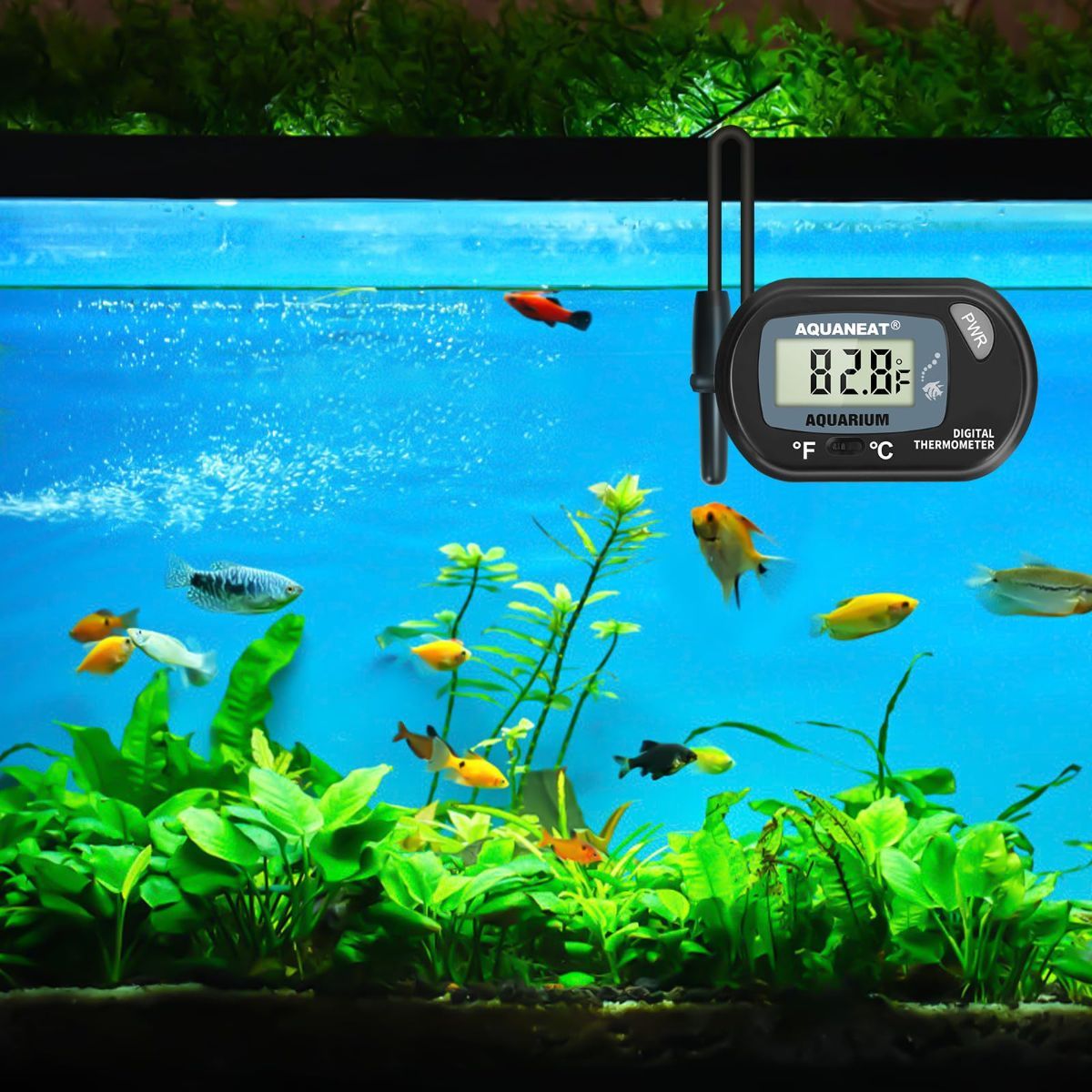 Aquarium Thermometer, Fish Tank Thermometer, Digital Temperature Test, with Large LCD Display (1 Pack) - Image 7