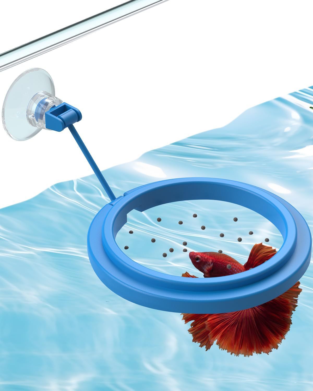 Betta Feeding Ring, Prevent Water Turbulence from Washing Food into Filter, Practical Round Floating Food, Suitable for Guppy, Goldfish and Other Small Fish (5 Pc) - Image 1