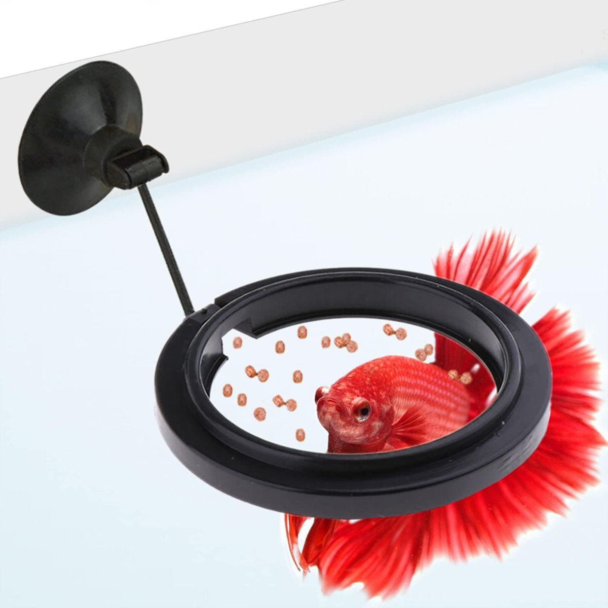 Betta Feeding Ring, Prevent Water Turbulence from Washing Food into Filter, Practical Round Floating Food, Suitable for Guppy, Goldfish and Other Small Fish (5 Pc) - Image 1