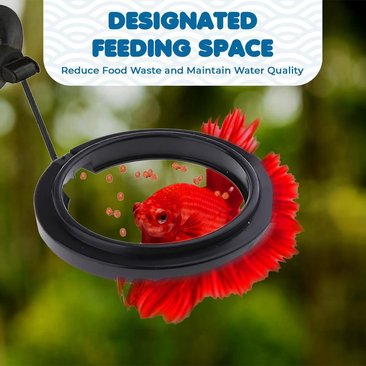 Betta Feeding Ring, Prevent Water Turbulence from Washing Food into Filter, Practical Round Floating Food, Suitable for Guppy, Goldfish and Other Small Fish (5 Pc) - Image 5