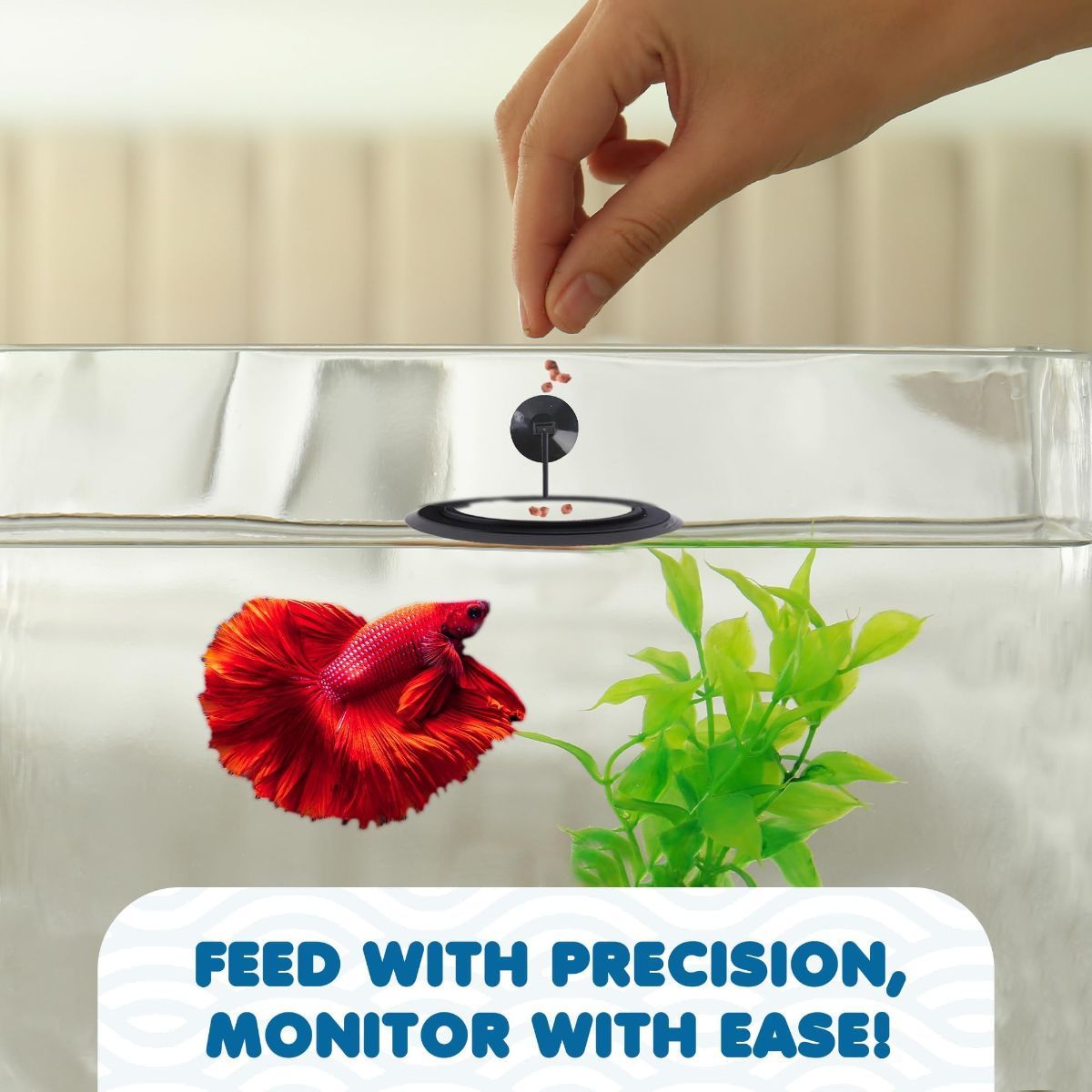 Betta Feeding Ring, Prevent Water Turbulence from Washing Food into Filter, Practical Round Floating Food, Suitable for Guppy, Goldfish and Other Small Fish (5 Pc) - Image 6