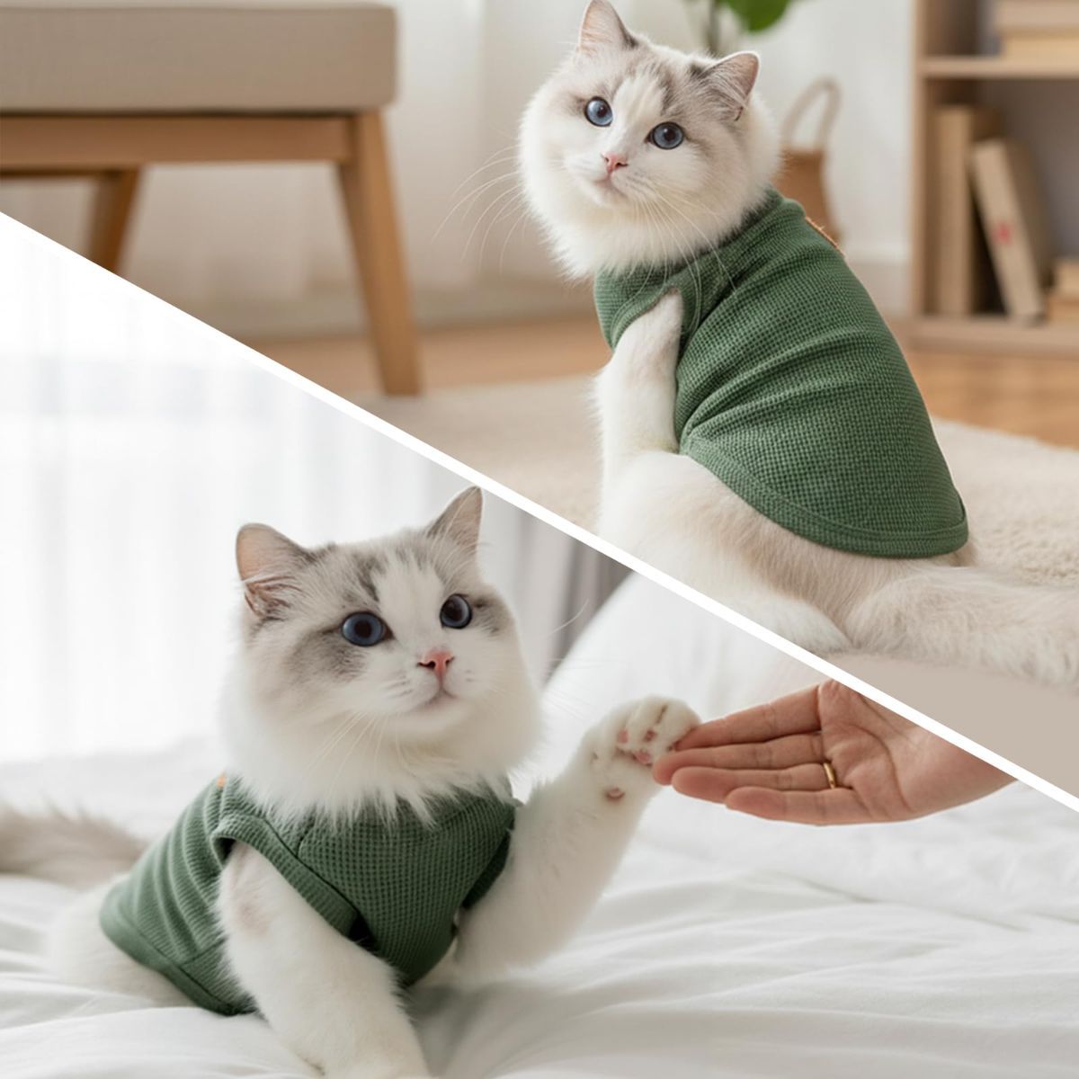 3PCS Waffle Knit Pet Shirt Sphynx Cat Clothing Small Dog T-Shirt Pet Fashion - Purple&Blue&Green / S(2-4lb) - Image 2