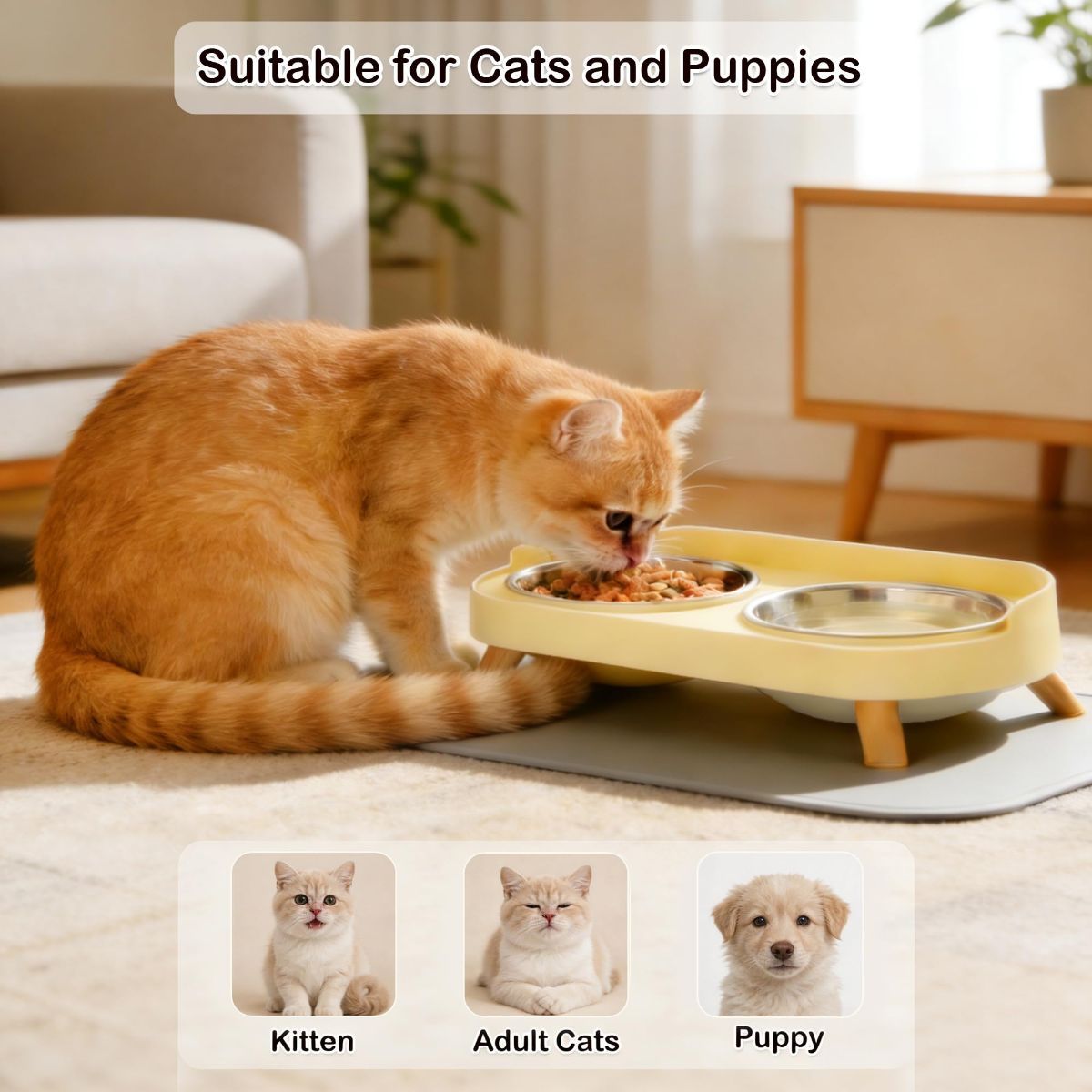 Cat Feeder Elevated Cat Feeder Dual-Bowl Cat Feeder Cat Food Bowl Cat Water - Image 3