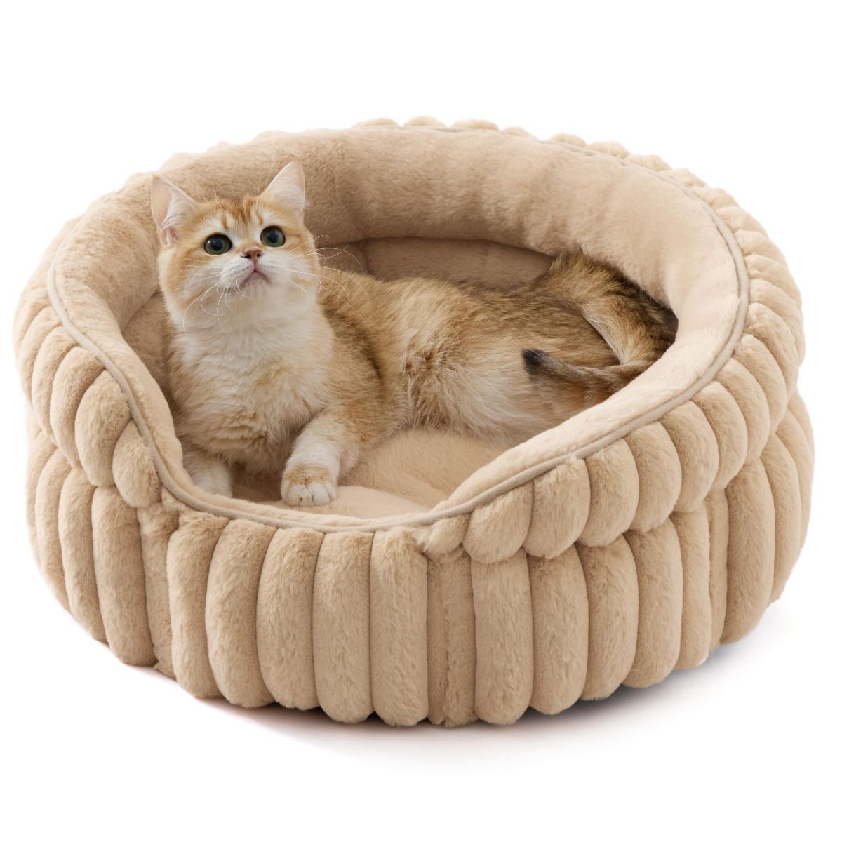 Cat Bed Plush Cat Bed Round Cat Bed Cat Furniture Cat Comfort Pet Supplies - Beige / 23in - Image 1