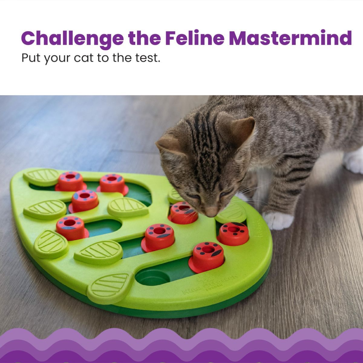 Cat Puzzle Feeder Indoor Cat Toy Interactive Treat Game Slow-Feeding Cat Toy - Image 5