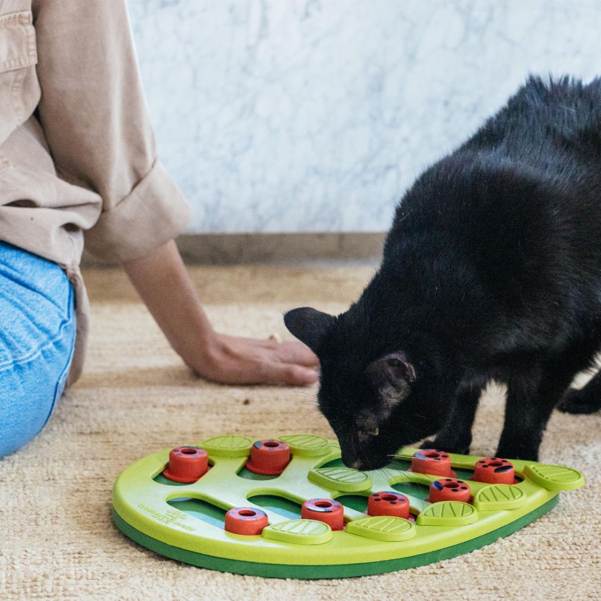 Cat Puzzle Feeder Indoor Cat Toy Interactive Treat Game Slow-Feeding Cat Toy - Image 7