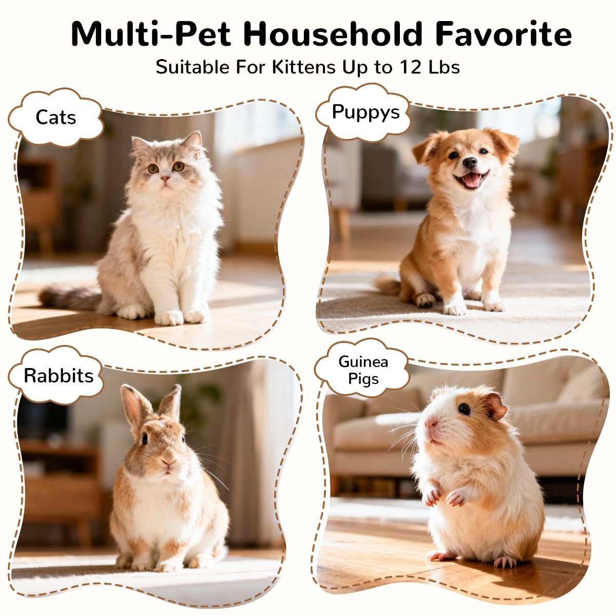 Cat Toy Interactive Cat Toy Cat Tunnel Feather Teaser Wand Indoor Cat Toy Cat - Image 5
