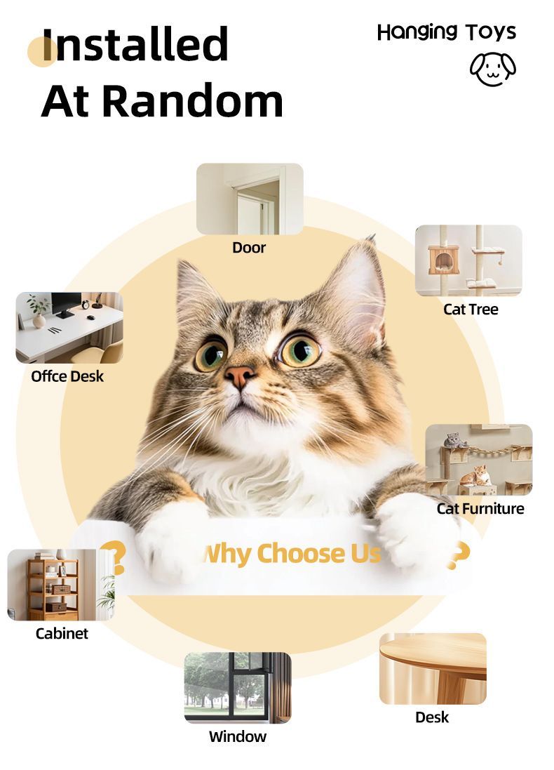 Interactive Cat Toy Electric Cat Teaser Remote Control Cat Toy Door Clip Cat - Image 7
