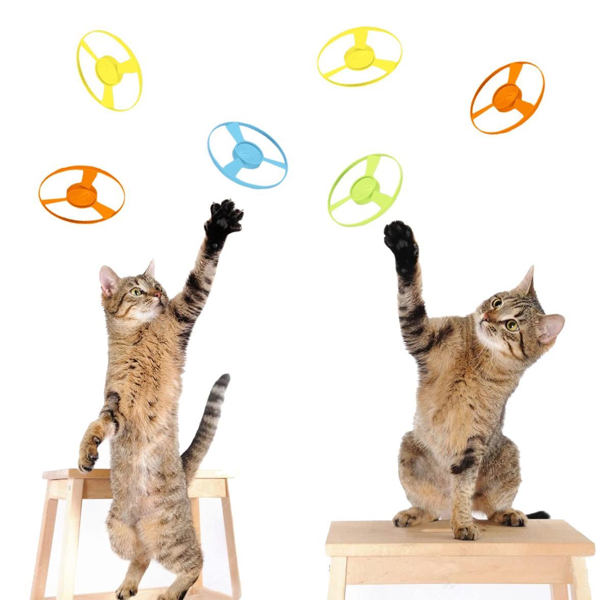 Cat Toy Cat Launcher Flying Disc Toy Cat Play Pet Toy Cat Entertainment - Image 5