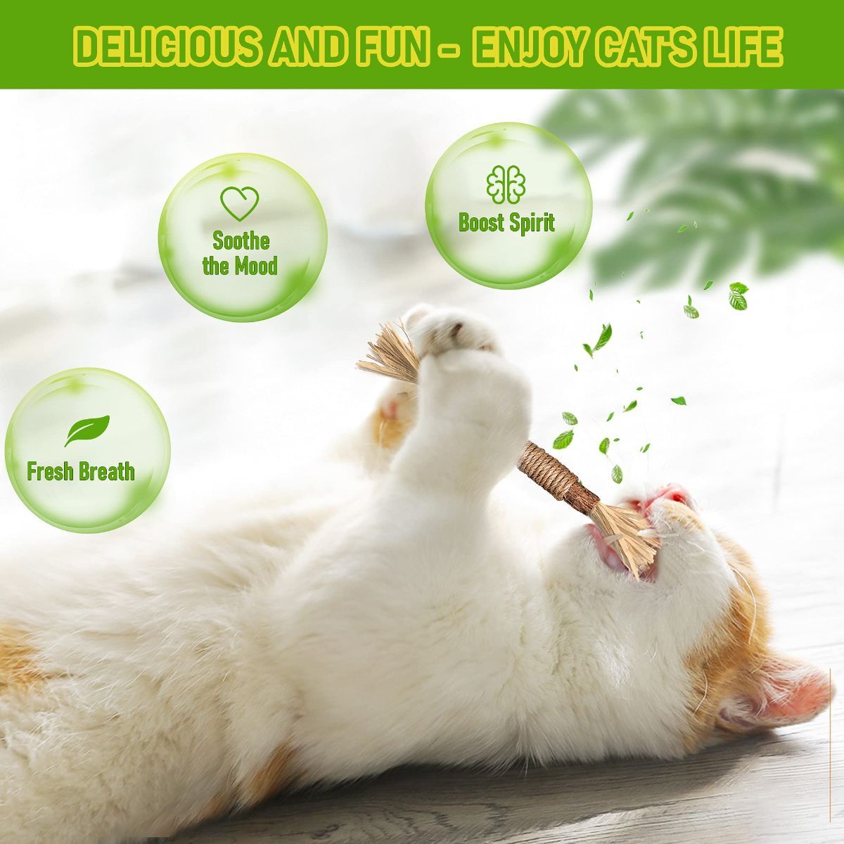 5 Cat Chew Sticks Cat Toys Cat Dental Care Natural Cat Toys Kitten Teething Toys - Image 2