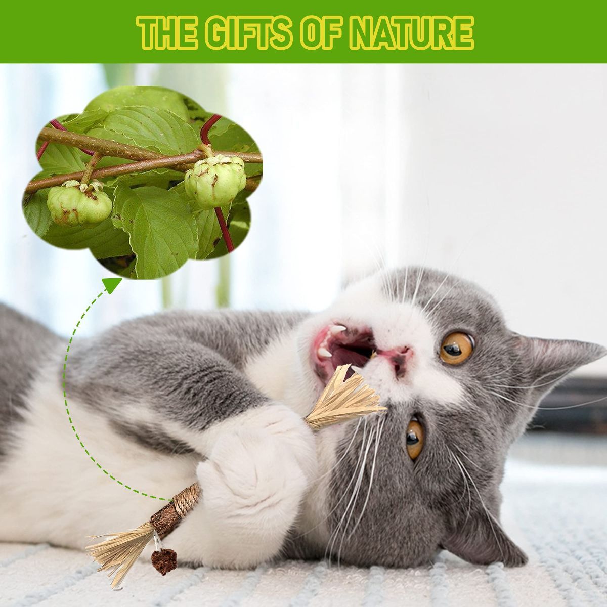 5 Cat Chew Sticks Cat Toys Cat Dental Care Natural Cat Toys Kitten Teething Toys - Image 4