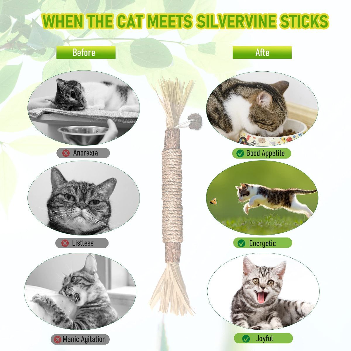 5 Cat Chew Sticks Cat Toys Cat Dental Care Natural Cat Toys Kitten Teething Toys - Image 7