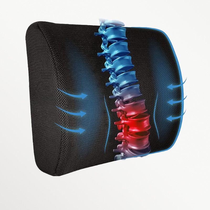 Ergonomic Lumbar Support Cushion with Premium Memory Foam Core, 3D Ventilated Mesh Cover, Dual Adjustable Straps, and Removable Washable Sleeve—Ideal for Office Chairs, Gaming Seats, Cars, and Dining Chairs (Black) - Image 1