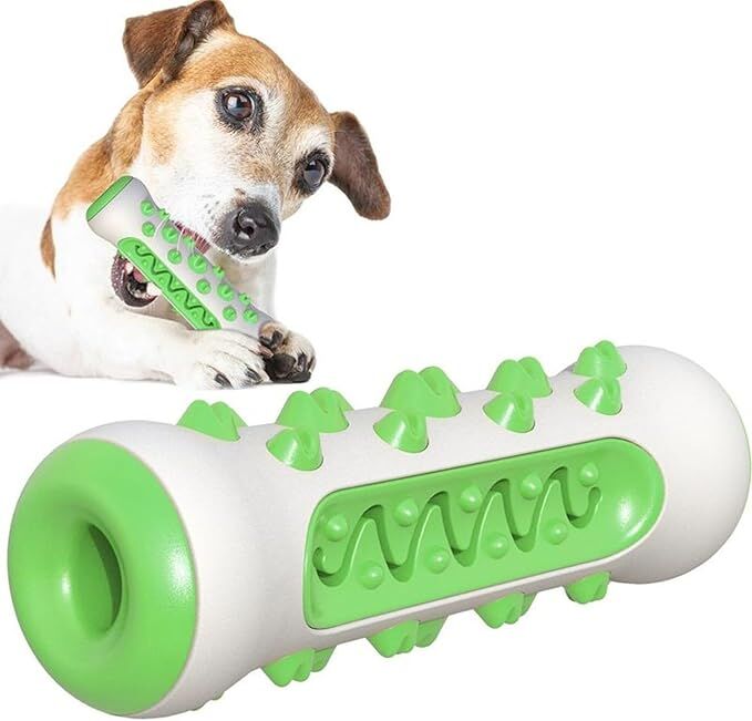 Dog Chew Toy: Durable Nylon & TPR, Teeth Cleaning Bone for Aussie Dogs - Image 1