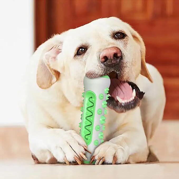 Dog Chew Toy: Durable Nylon & TPR, Teeth Cleaning Bone for Aussie Dogs - Image 4
