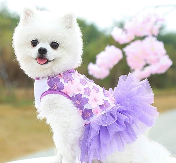pet products Fall Dog Dresses for Small Dogs Girl 3 Pack Summer Puppy Clothes Outfit Apparel Female Cute Cat Skirt - Image 1