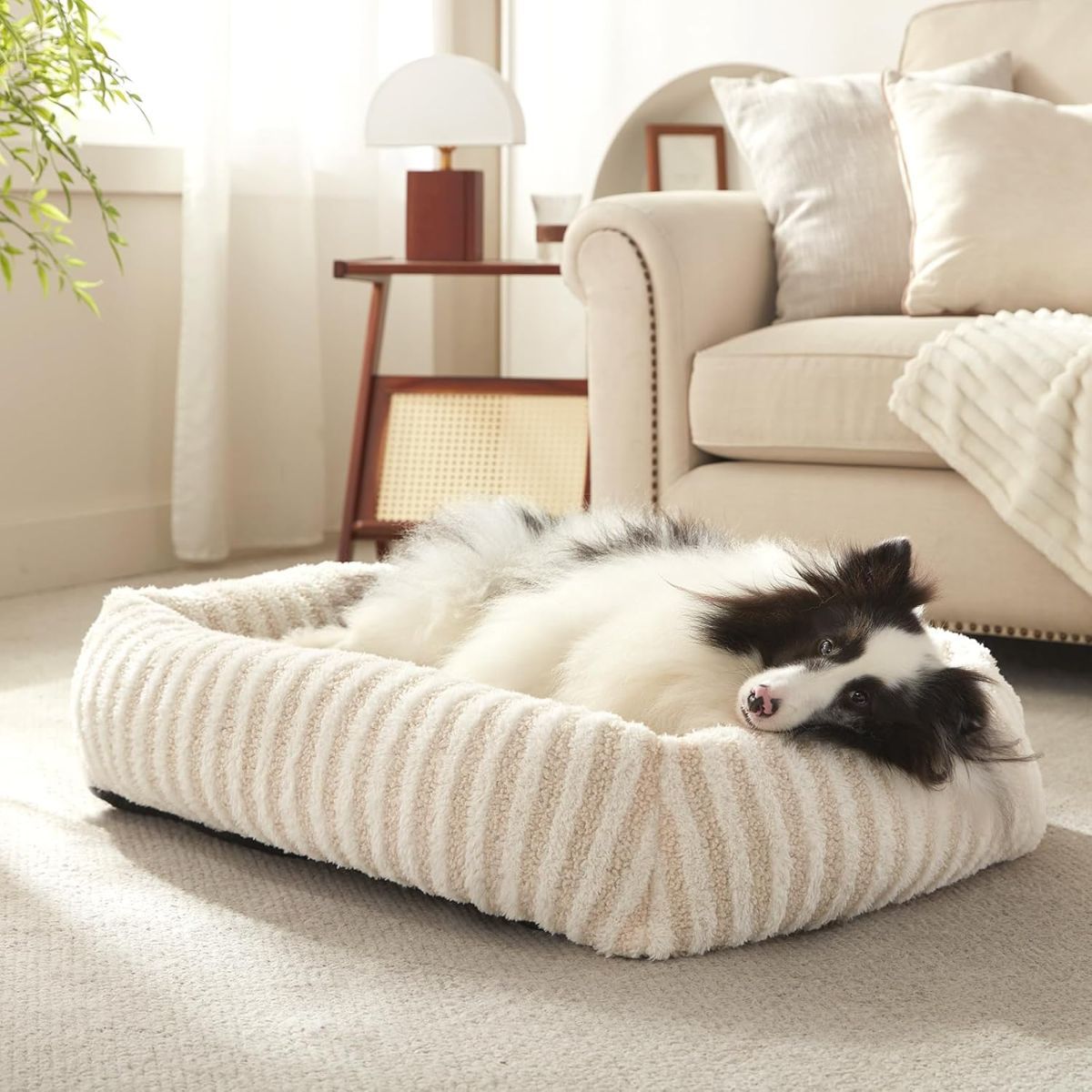 Dog Bed Soft Dog Bed Rabbit Velvet Dog Bed Teddy Fabric Dog Bed Cozy Dog Bed - White - Size 36in*27in - Image 1