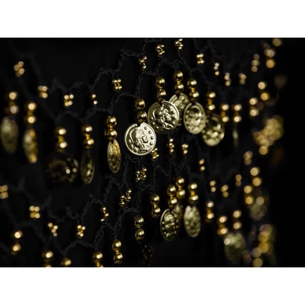 Belly Dance Hip Scarf with 128 Gold Coins, Mardi Gras Carnival Performance Belt Costume - Image 2