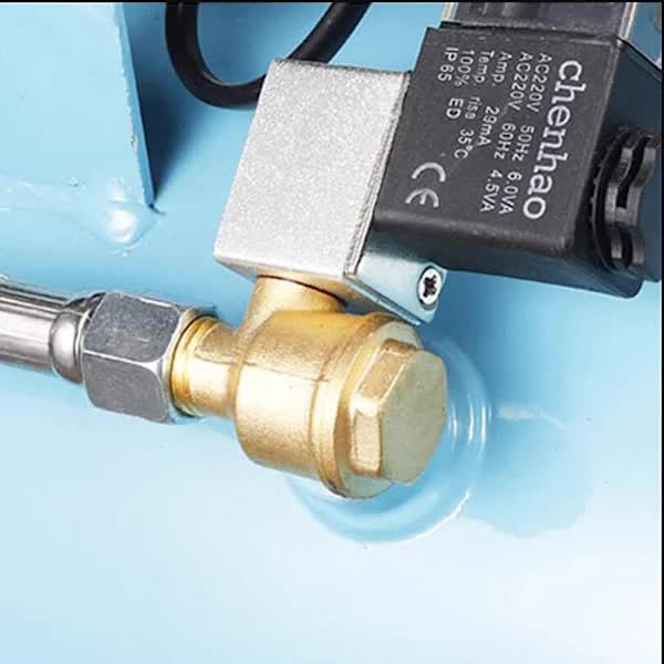 Check valve Foot valve Non-return valve - Image 3