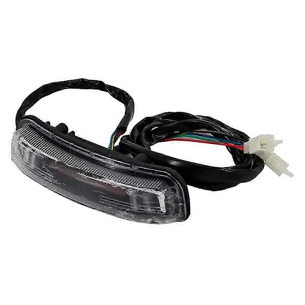 Universal LED Tail Light Turn Signal Brake Light Compatible with Citycoco Electric Scooter 60V - Image 1