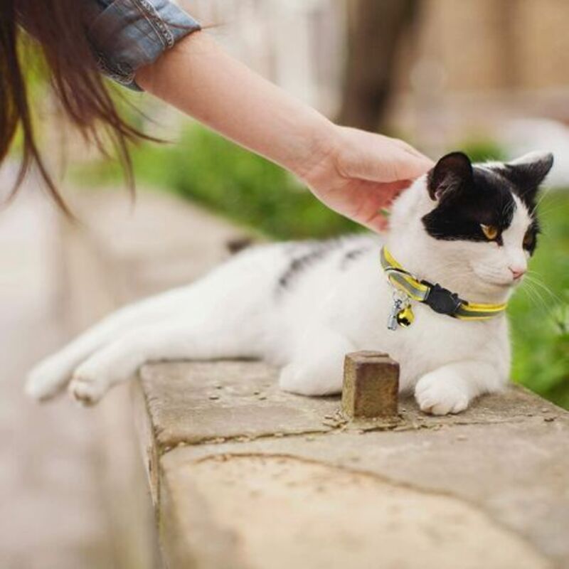 Adjustable Reflective Collars for Cats and Puppies with Bell and Safety Buckle, 6X Multicolor Pet Accessories - Image 5