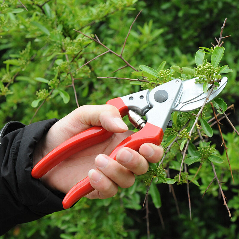 Left-Handed Secateurs, Side-Cutting, 25 mm x 210 mm x 65 mm - Image 1