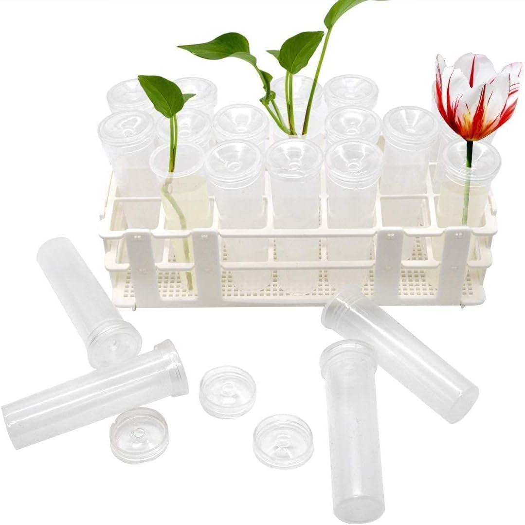 21 Pack 60ml Large Floral Tubes with Rack Holder for Milkweed Cuttings, Raising Caterpillars, Monarchs, Butterflies, Flower Arrangements - Image 1