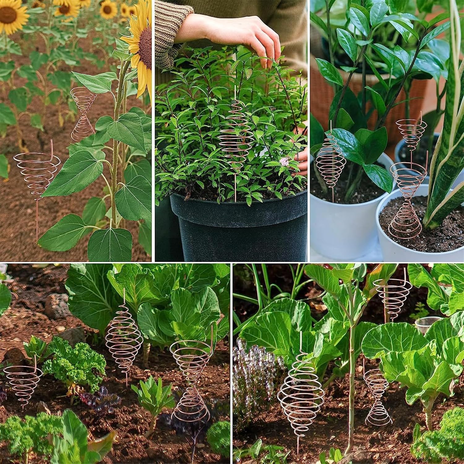 Pure Copper Wire 20m for Gardening Air Plant Stands Vegetable Growing - Image 4