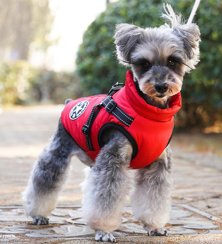 Waterproof Dog Winter Jacket with Harness and Fleece, Compatible with Orange S Size - Image 3