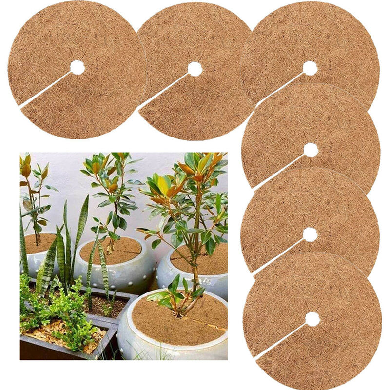 Pieces Mulching Disc, Winter Protection For Potted Plants, Plant Protection Mat, Biodegradable Coconut Mat Plants For - Image 1