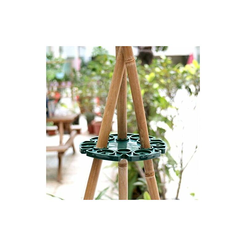 6 Pack Bamboo Stakes Supports For Climbing Plants, Tomato Plants, Cucumbers, Clematis - Image 3