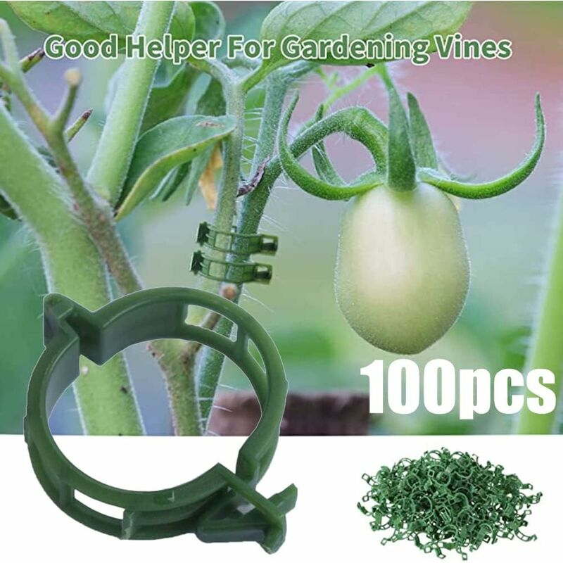 100 pcs Plant Support Clips Tomato Clips Ties Twine Vine Trellis Cages Climbing Plants Vegetables 2.5Cm - Image 1