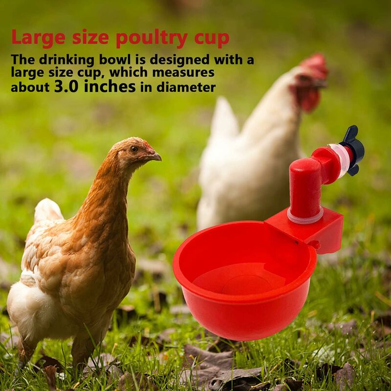 6 pcs Automatic Chicken Waterer Supplies Bowl Cups Plastic Bowl, Poultry Water Dispensers Automatic Drinking Water Cups - Image 3