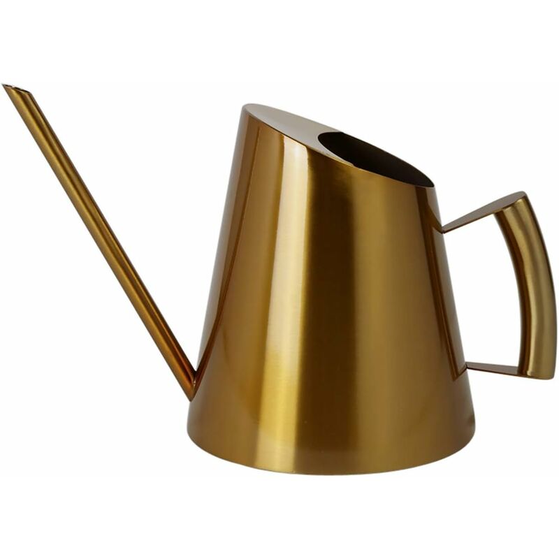Stainless Steel Watering Can With Long Narrow Nozzle, Garden Plants Flower Tool, Ideal For Home, Garden, Balcony, - Image 1