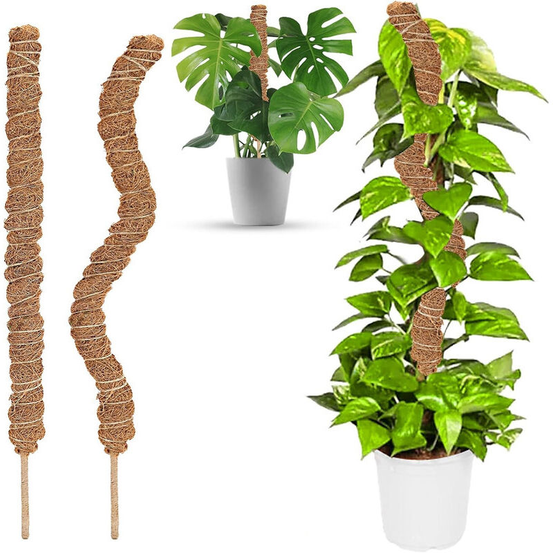 2 pcs Foldable Plant Stake, 60Cm Long Plant Stake Coco Climbing Plant Support, Climbing Plant Support For Monstera Plant - Image 1