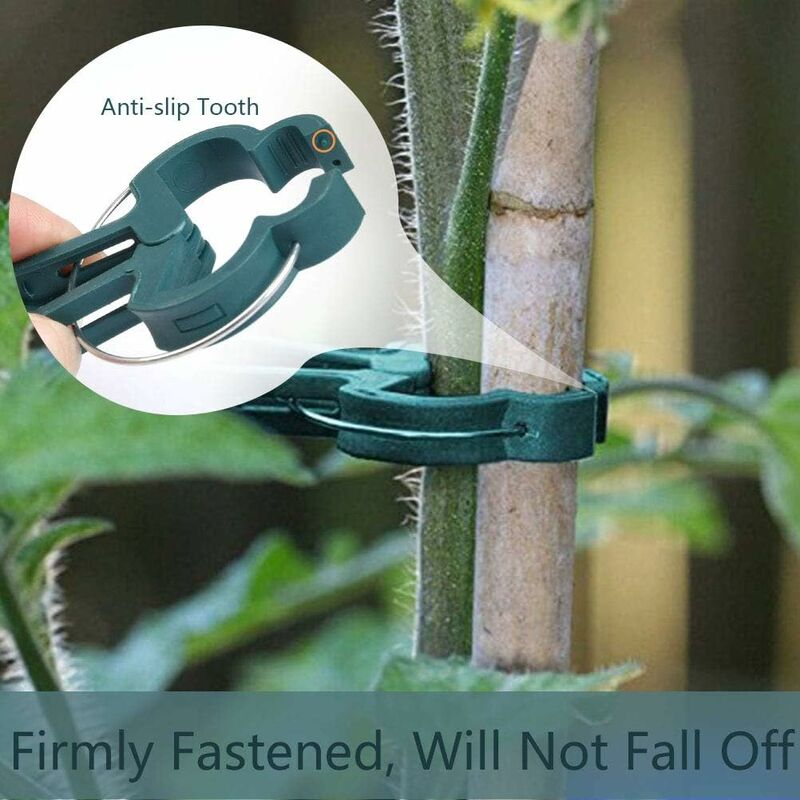 100 pcs Plant Clips, Spring Clips Plant Support For Tomatoes And Vine Vegetables - Image 4