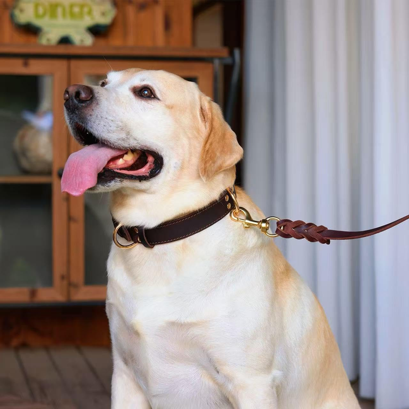 Premium Genuine Leather Dog Collar/Durable Real Leather Adjustable Collars For Male Female （size: S） - Image 3