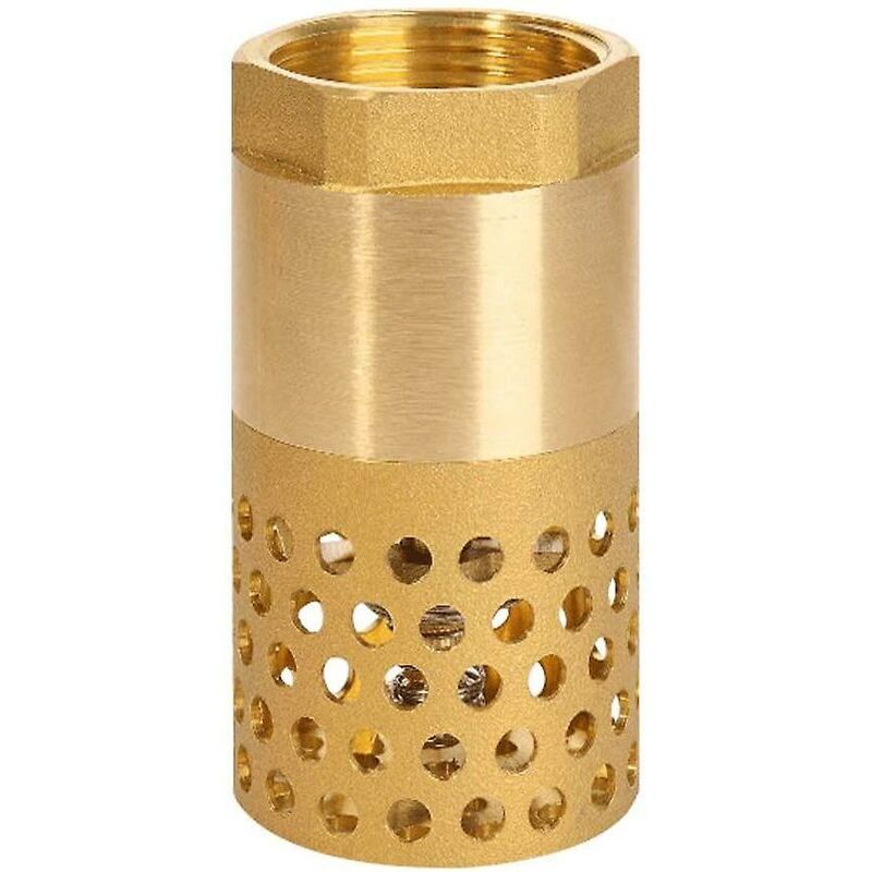 1 Inch Pump Check Valve - Foot Valve Strainer Check Valve (1 Inch) - Image 1
