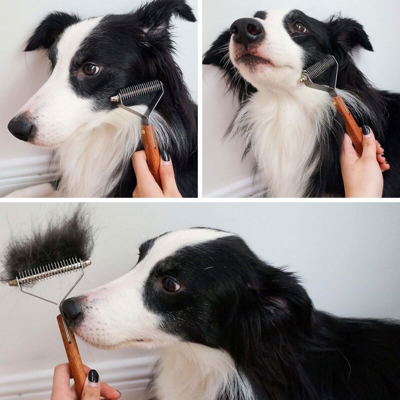 Coat King Brush For Dogs And Cats, Pet Grooming Comb Dematting Rake Significantly Reduces Shedding - Image 2