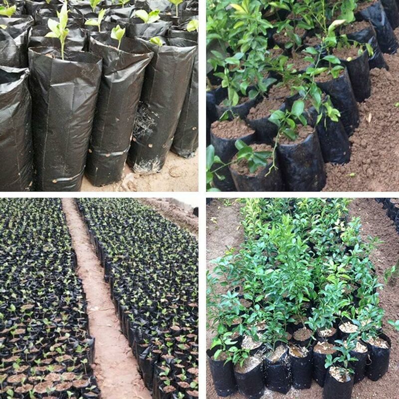 100 pcs Thickened Plastic Plant Nursery Bags Fruit Flower Seedling Planting Bags Garden Plant Grow Bags With Breathable - Image 2
