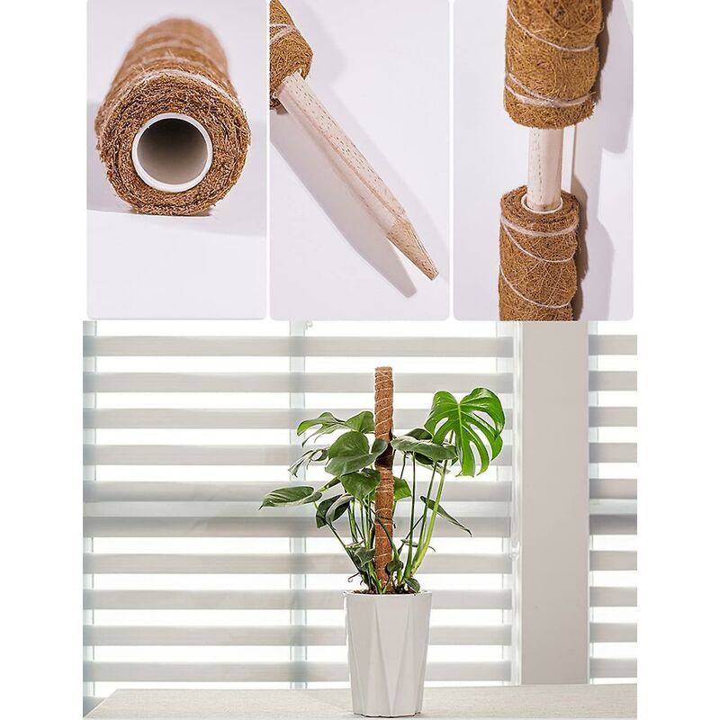 2 pcs Plant Stake, Coco Stake, Coco Pole, Coco Stick For Home Garden Climbing Plants Plant Support Extension - Image 3