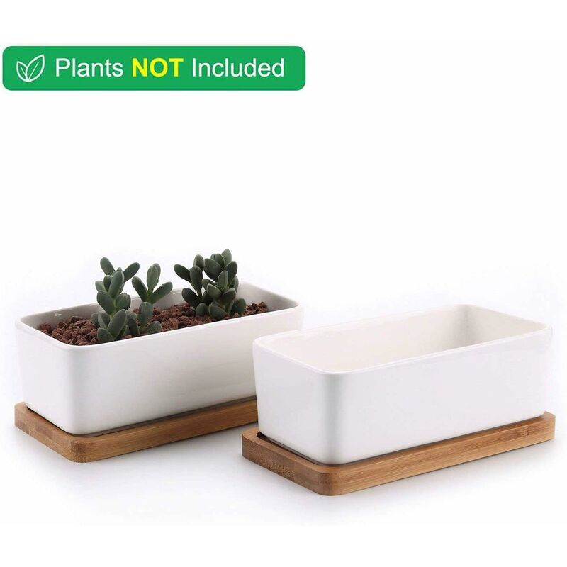 17Cm Ceramic Succulent Pot With Bamboo Tray White 2 pcs Set, Cactus Planter Cache Pot Jardinière Container Gift For - Image 4