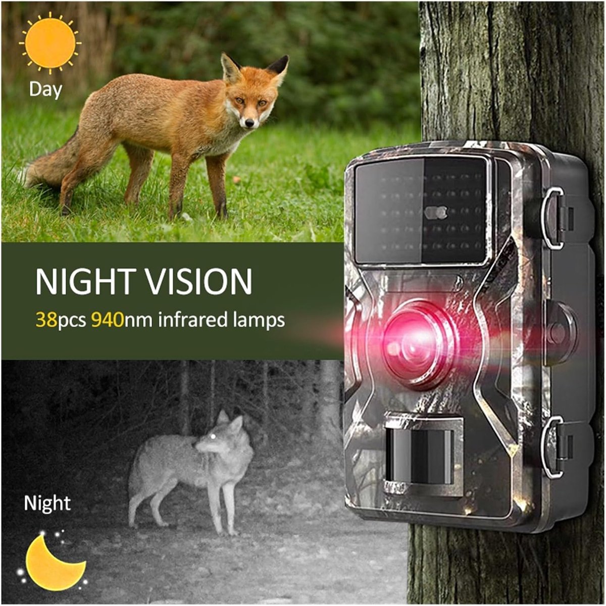 Rechargeable wildlife camera with night vision - 10 x 13.2 cm - IP66 waterproof - 1.3 m range - 1080p - 32 GB SD card included - For wildlife monitoring - For outdoor use - Image 3